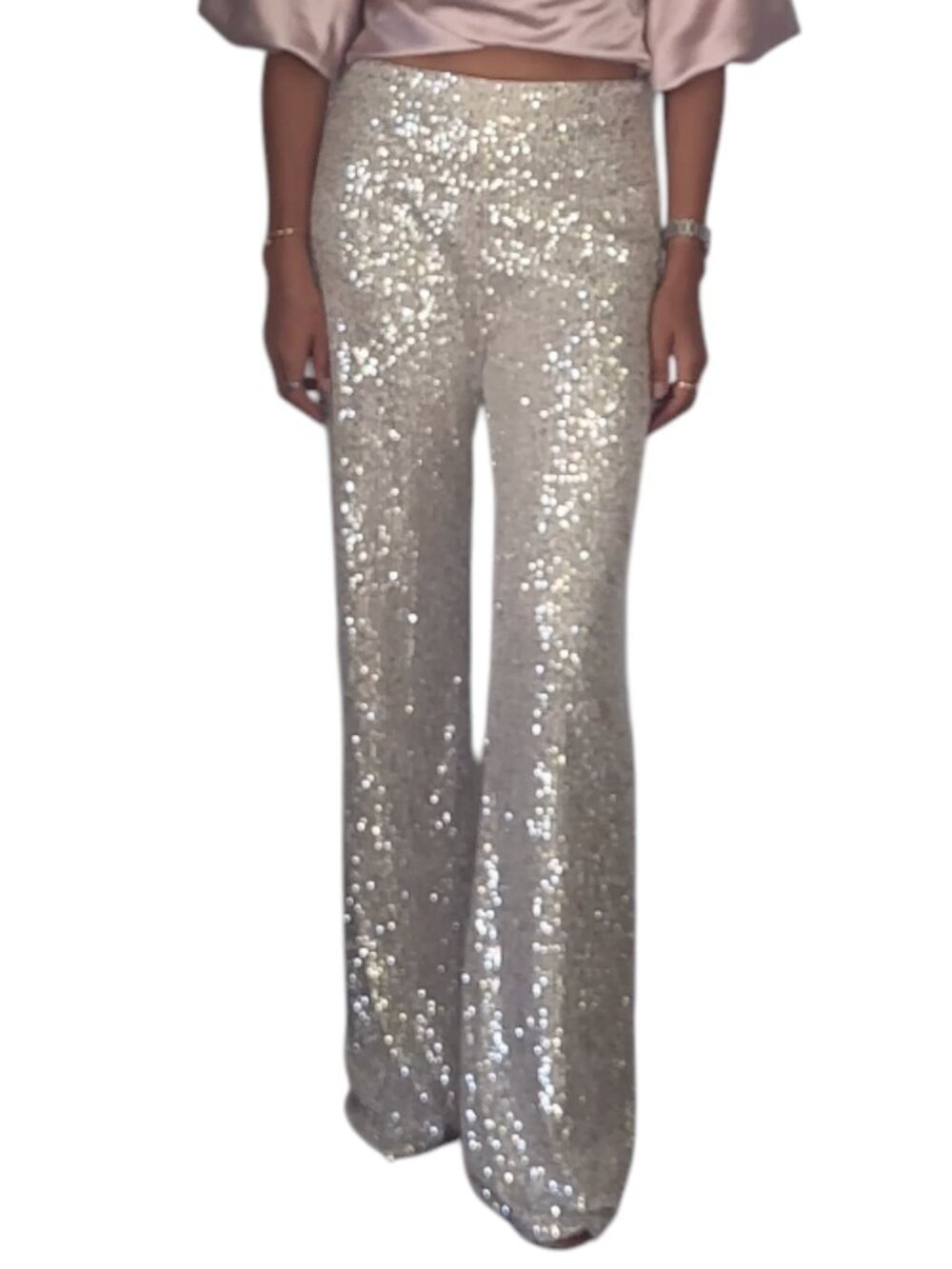 Pookie & Sebastian Silver Champagne Sequin Pants Lined Stretch Party Evening